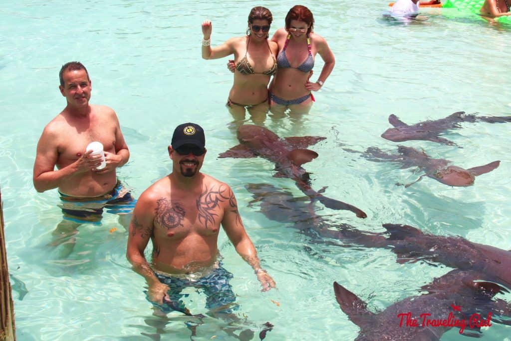 Swimming with the nurse sharks in Compass Cay. This cay in the Exumas is known for an area of shallow water where nurse sharks live and tourists always come to swim with them. A must when visiting Exuma in the Bahamas