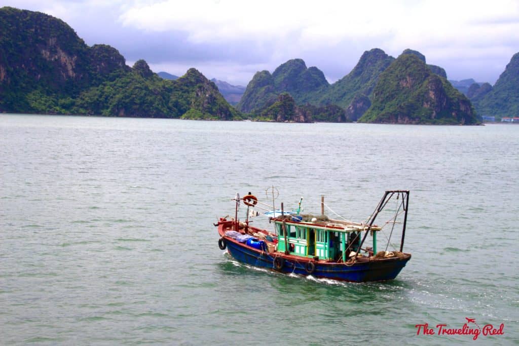 Fishing boats we saw from lunch. Romantic cruise in Bai Tu Long Bay, right next to Halong Bay, Vietnam, aboard the Dragon Legend Cruise ship. The best honeymoon destination in Asia. #Halongbay #Vietnam #cruise #honeymoon #honeymoondestination