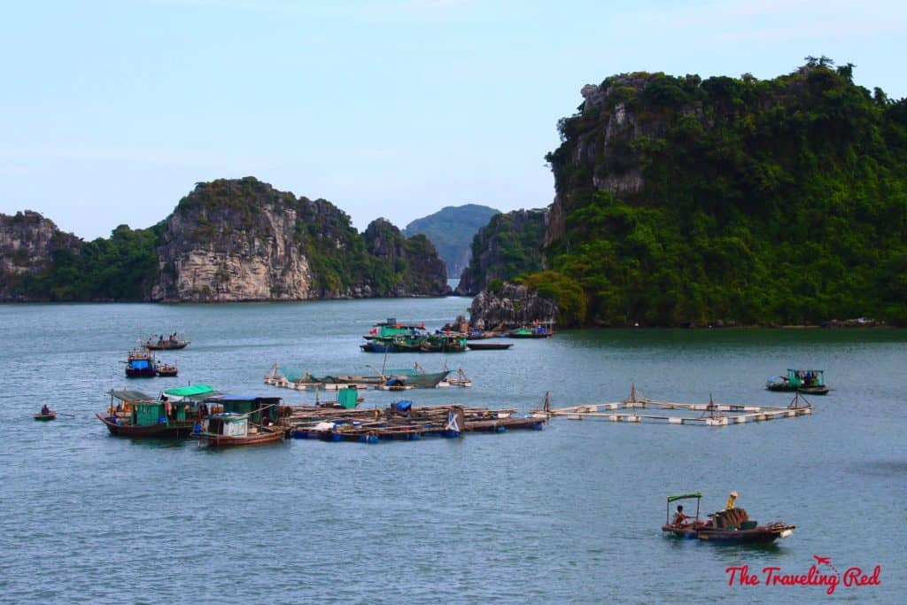 Fishing village in Vietnam. Romantic cruise in Bai Tu Long Bay, right next to Halong Bay, Vietnam, aboard the Dragon Legend Cruise ship. The best honeymoon destination in Asia. #Halongbay #Vietnam #cruise #honeymoon #honeymoondestination