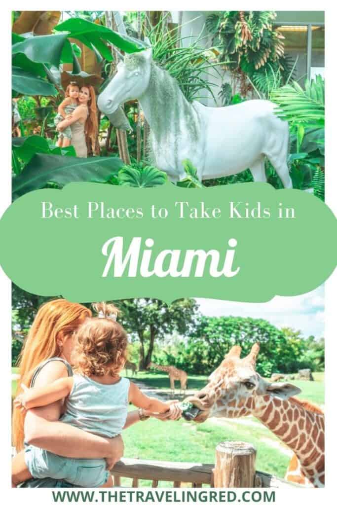 Best places to take your kids in Miami | Kid-friendly outings in Miami and Miami Beach | Miami Children's Museum | Miami Beach Botanical Gardens | Zoo Miami | feeding the giraffes | outdoor garden perfect  for picnics | learning fun | unicorn 