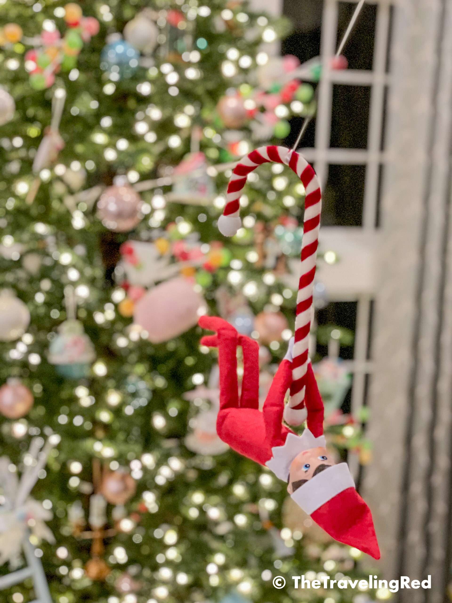Naughty Elf on the shelf made a zipline from our chandelier to our christmas tree and rode on it using a candy cane. Fun and easy elf on the shelf ideas for a naughty elf that are quick and easy using things you have at home.