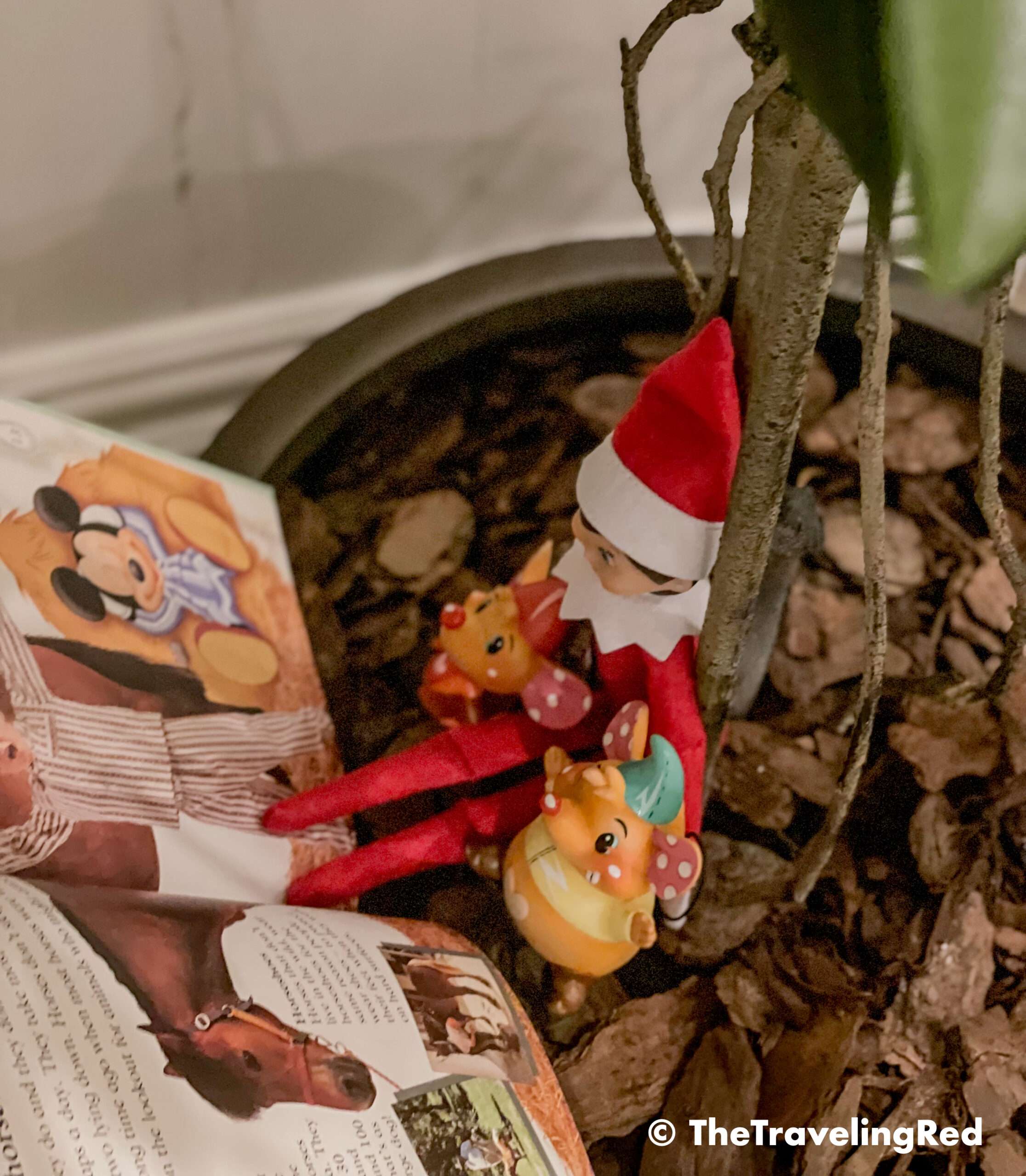Naughty Elf on the shelf hid under a tree to read a book to some of the toys. Fun and easy elf on the shelf ideas for a naughty elf that are quick and easy using things you have at home.